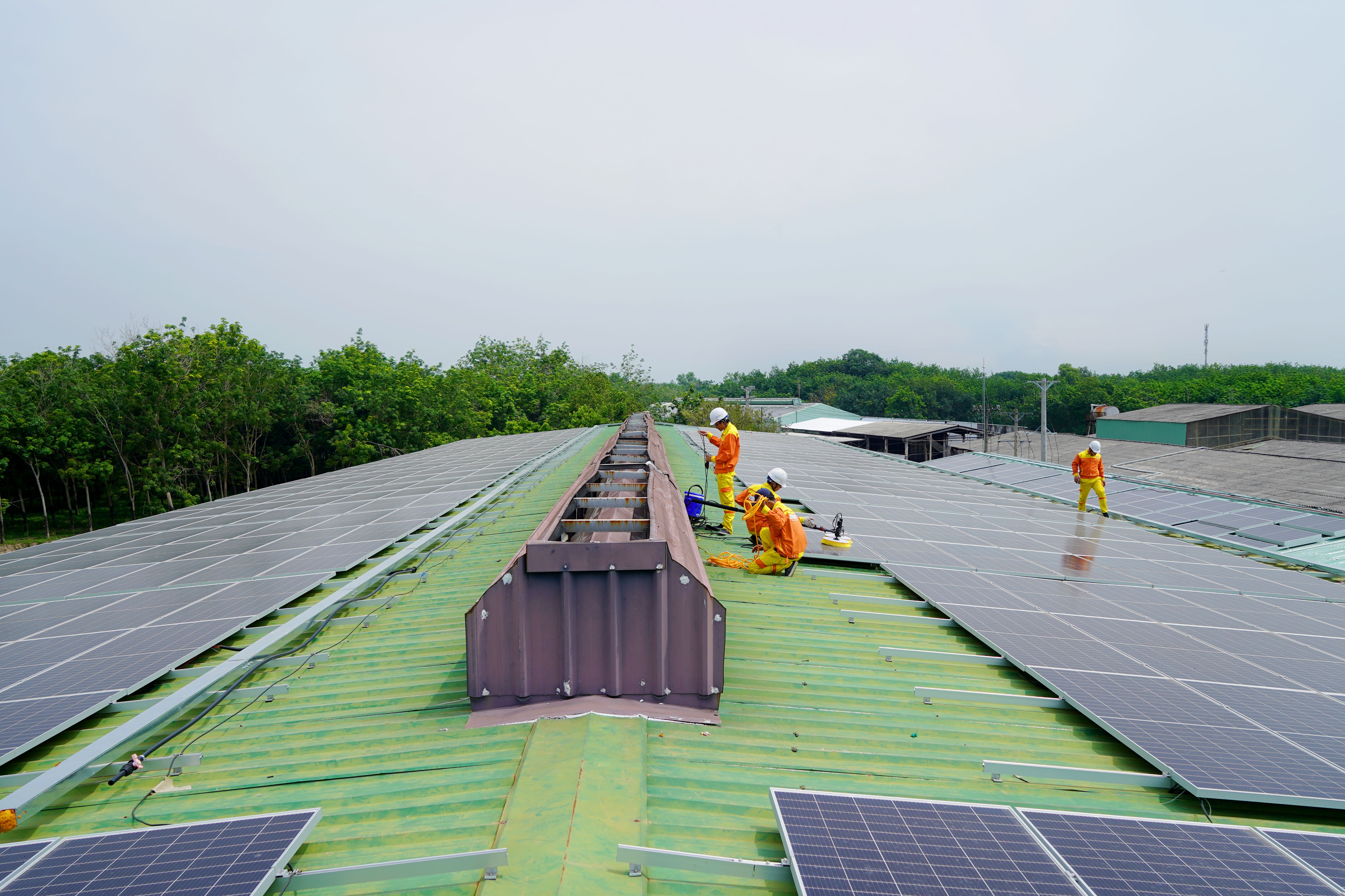 Commercial solar panels